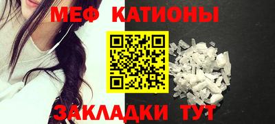 прущие грибы Дубна