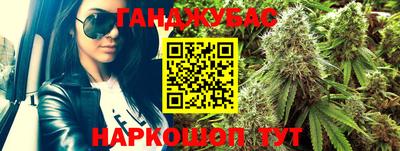 прущие грибы Дубна