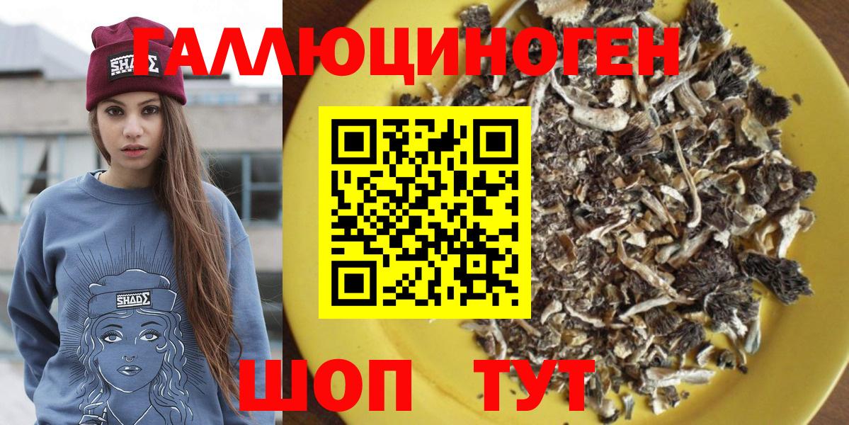 Лабинск  Псилоцибиновые грибы MAGIC MUSHROOMS  купить закладку  Галлюциногенные грибы мицелий  Вход с VPN 